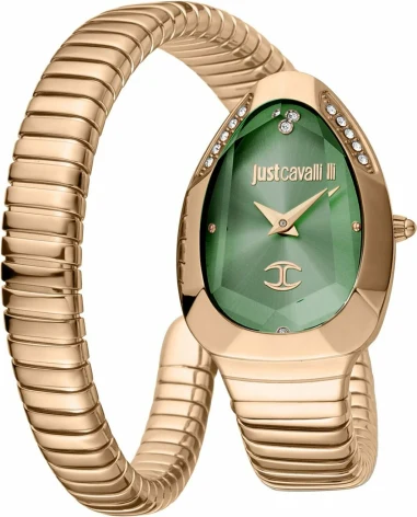Montre Just Cavalli JC1L208M0055 femme cadran vert bracelet acier inoxydable